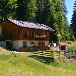 Trentino affittasi baita Cembra