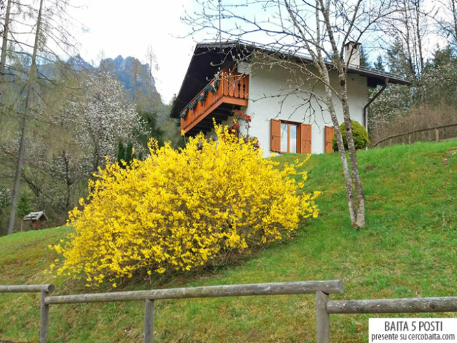 baita Masetto in affitto Trentino per vacanze in montagna