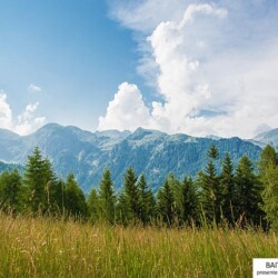 vacanza baita montagne