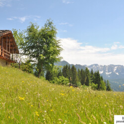 San Martino di Castrozza baita in affitto