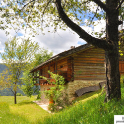 baita affitto Trentino San Martino di Castrozza