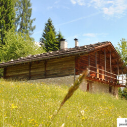 Trentino baita affitto Fiera Primiero