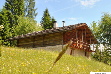 Trentino baita affitto Fiera Primiero