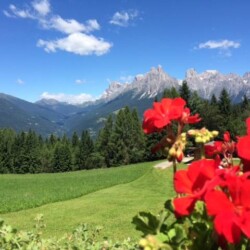 Trentino baita Fedai vacanze