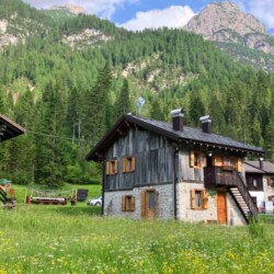 Baita Val Visdende appartamento bosco vacanza