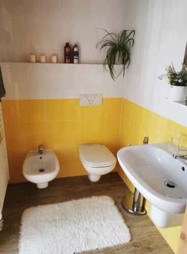 bagno Chalet Dolomiti