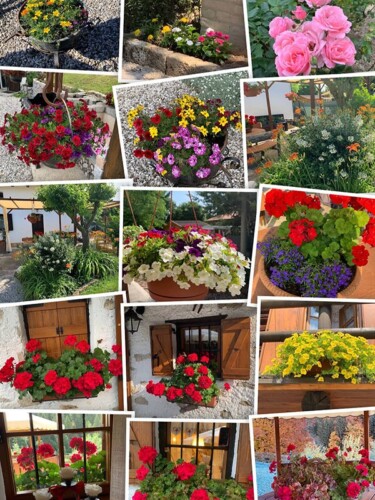 Baita Mandini fiori