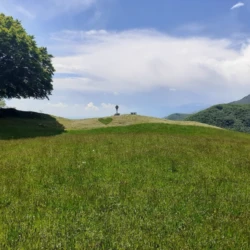baita con grande prato per animali e cani in Friuli