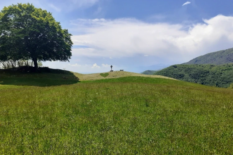baita con grande prato per animali e cani in Friuli
