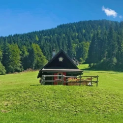 Friuli baita in affitto montagna 5 persone