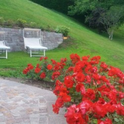 appartamento con giardino per cani