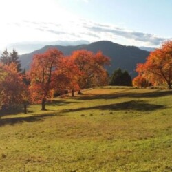 appartamento in affitto vacanze con grande giardino