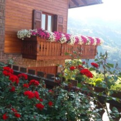 appartamento vacanze vicino Levico