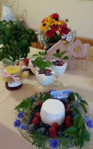 Regalo di benvenuto dell'appartamento Casa delle Rose