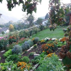 L'uso dell'orto Casa delle Rose