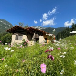baita affitto Valle di Concei Ledro