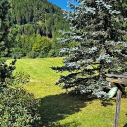 prato Chalet Cornon Val di Stava