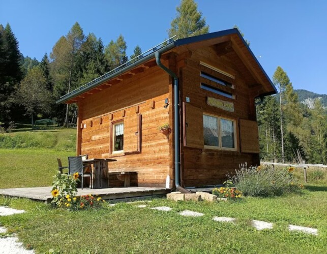 casa nel bosco montagna per vacanze